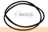 VAICO V10-3043 Seal, windscreen